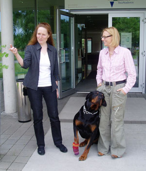 bayrische bauakademie mit hund